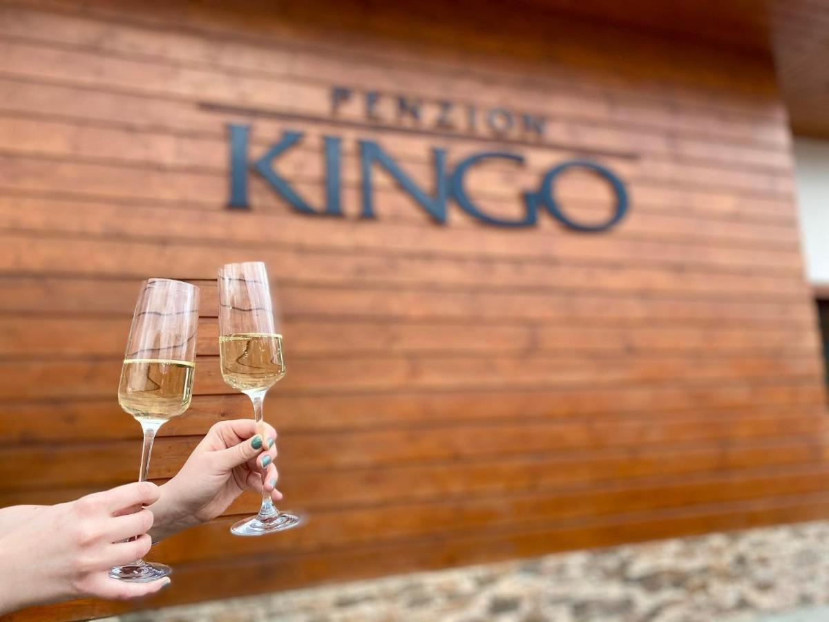 Penzion Kingo Nemšová 외부 사진